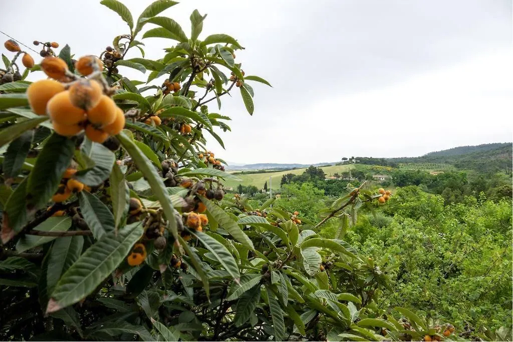 Toscana&Mare Cav La Lodola Βίλα Crocina